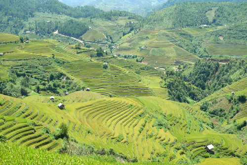 Thiết kế sân vườn, thiết kế sân vườn biệt thự, thiết kế sân vườn đẹp, sân vườn biệt thự, sân vườn sinh thái, biệt thự sinh thái, thiết kế sân vườn tiểu cảnh, thiết kế sân vườn cảnh quan, thiết kế hồ Koi, thiết kế hồ cá Koi, thiết kế hồ cá chép Nhật, thiết kế hồ cá chép rồng, thiết kế vườn treo, thiết kế vườn trên mái, thiết kế vườn nước, thiết kế vườn Nhật, thiết kế vườn khô, thi công sân vườn, thi công sân vườn biệt thự, thi công sân vườn đẹp, thi công sân vườn tiểu cảnh, thiết kế cảnh quan, thiet ke canh quan, thi công sân vườn cảnh quan, thiết kế tiểu cảnh, giếng trời, thiet ke tieu canh, gieng troi,  thi công tiểu cảnh, giếng trời,  thi công cảnh quan, thi công hồ Koi, thi công hồ cá Koi, thi công hồ cá chép Nhật, thi công vườn treo, thi công vườn trên mái, thi công vườn Nhật